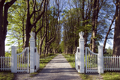 Driveway Gates